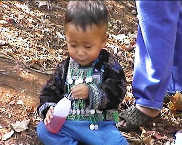Die Hmong gelten als ebenso begabte Pflanzer und Jäger, wie als Waldzerstörer...mit dem Kauf unserer Früchte geben Sie diesen Kindern eine Zukunft als Waldschützer !\\n\\n07.06.2015 12:33