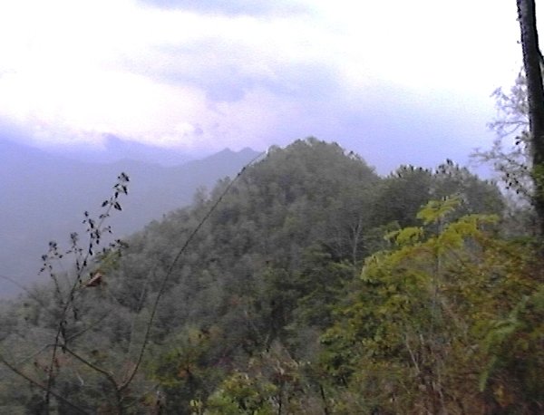 ...so sehen noch intakte Waldreste aus, die schwer zugänglich sind...die letzten von Myrobalanblüten duftenden Berge Asiens...("PO NA DAN")\\n\\n07.06.2015 12:55