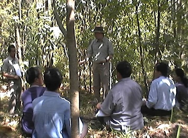 Waldaufforstungs-Unterricht für die Dorfältesten der Hmong im schon neu entstanden Waldschatten...Dieser Teil des Geländes wurde kürzlich vom Feuer zerstört...\\n\\n06.06.2015 19:10