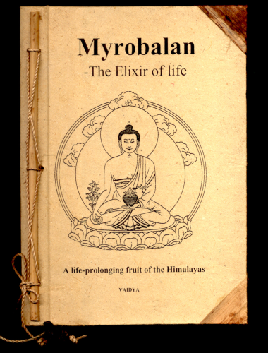 "Myrobalan - The elixir of life in the hand of the Medicine Buddha" englische Version unseres Buches