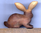 Hase oder Kaninchen - Miniatur aus Pacifischem "Rosenholz"-