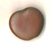 "Gugo" Riesenlianen-Samen in seltener Herzform