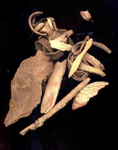 Kurchi oder "Kutaja" - Rinde - Holarrhena antidysenterica syn.pubescens