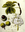Frische, keimfähige Ross Kastanien Baum - Samen (Aesculus hippocastanum)