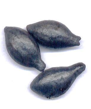 Zahnputzpulver aus frisch verkohlten Arura-Früchten mit Ossa Sepia und Steinsalz