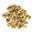 Shigru "Meerettichbaum" - Samen von Moringa oleifera als Nahrungsergänzung
