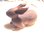 Hase oder Kanin chen - Miniatur aus dem Holz des Hibiscus-Baums