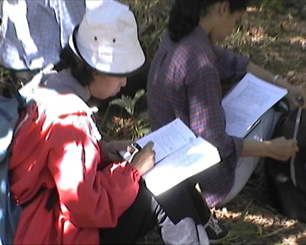 Kombinierter Unterricht mit Studenten und Angehörigen des Hmong Volksstamms, der diese Gegend bewohnt...\\n\\n06.06.2015 19:02